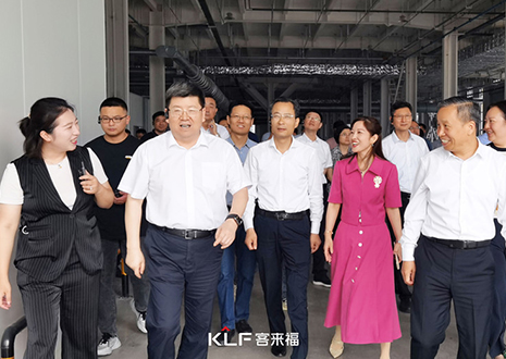 热烈欢迎安徽省淮南市委书记一行调研九游会智能家居产业园建设项目